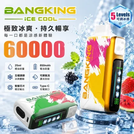 12種口味｜BANG KING 60000口拋棄式 5檔冰感調節