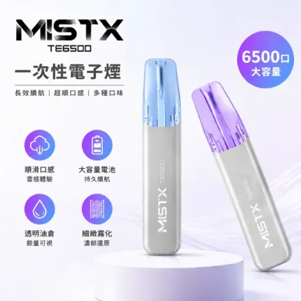 10種口味｜米斯特/MISTX TE 6500口一次性 鴨嘴造型吸嘴